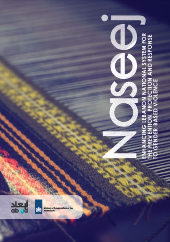 About Naseej Program